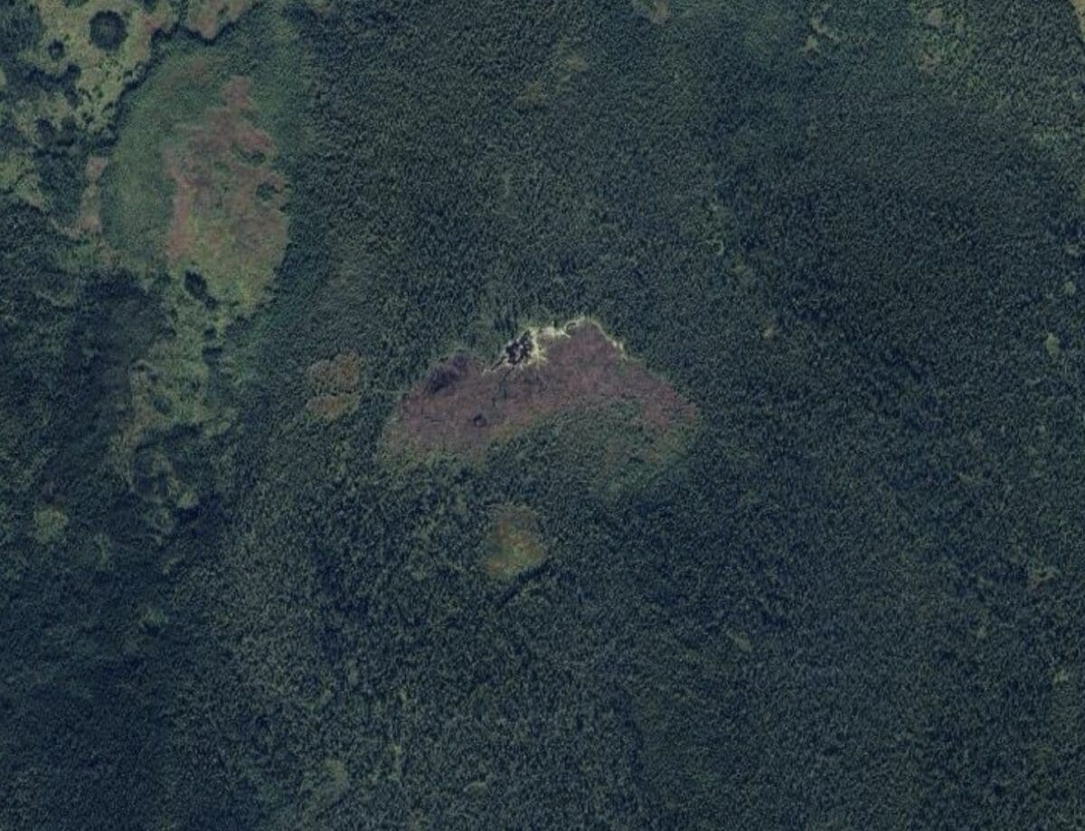 this-beaver-dam-is-so-big-it-s-visible-in-satellite-imagery
